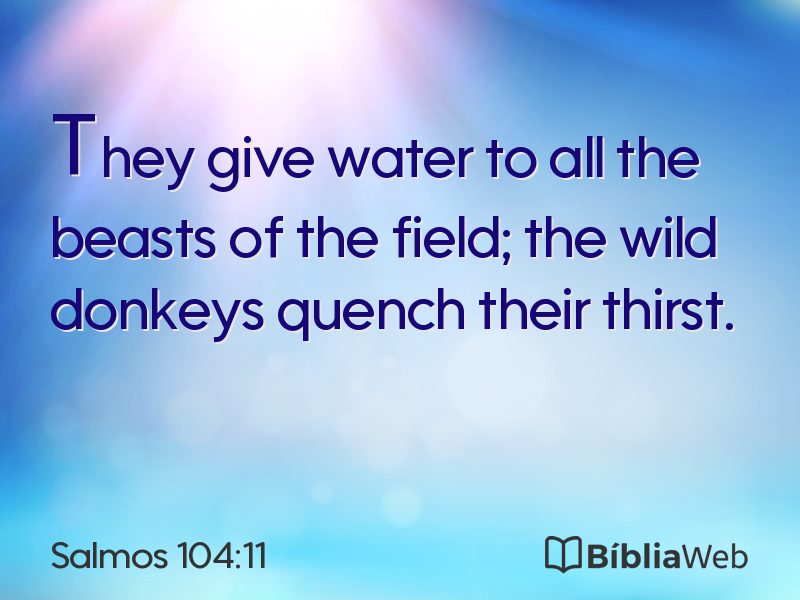 Salmos 104:11 em imagem para compartilhar