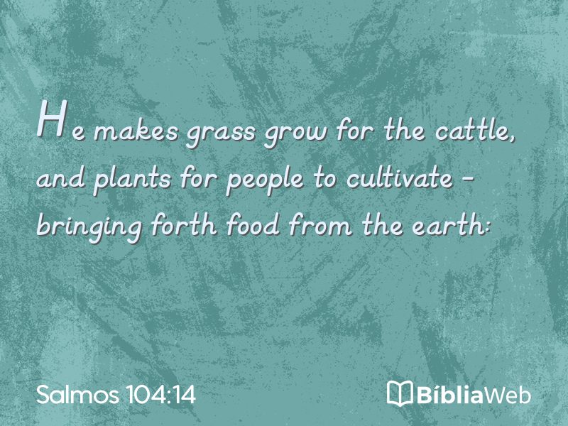 Salmos 104:14 em imagem para compartilhar