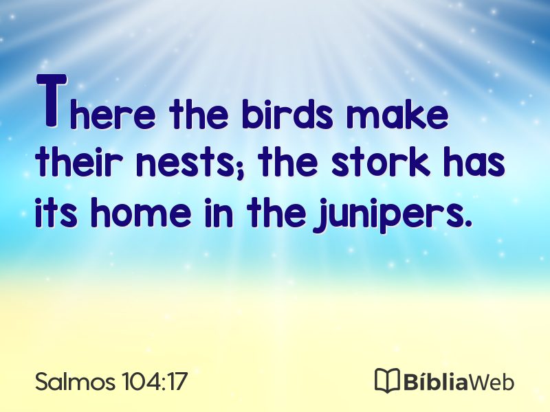 Salmos 104:17 em imagem para compartilhar