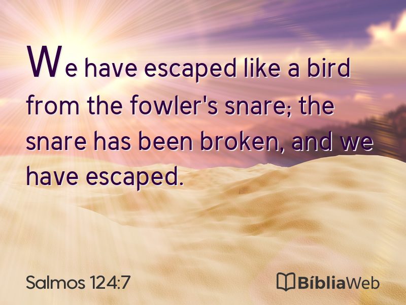 Salmos 124:7 em imagem para compartilhar