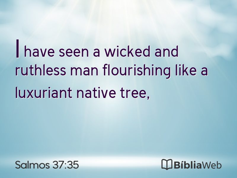 Salmos 37:35 em imagem para compartilhar