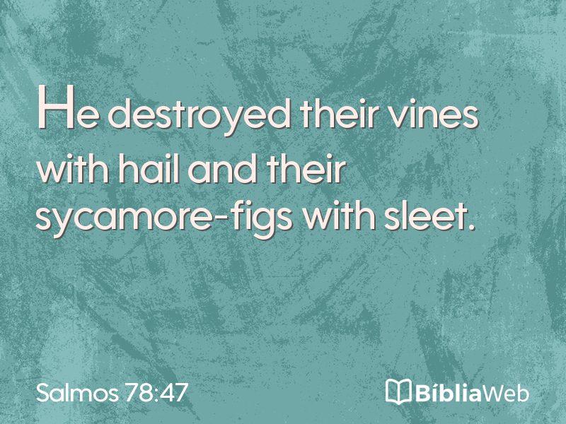 Salmos 78:47 em imagem para compartilhar