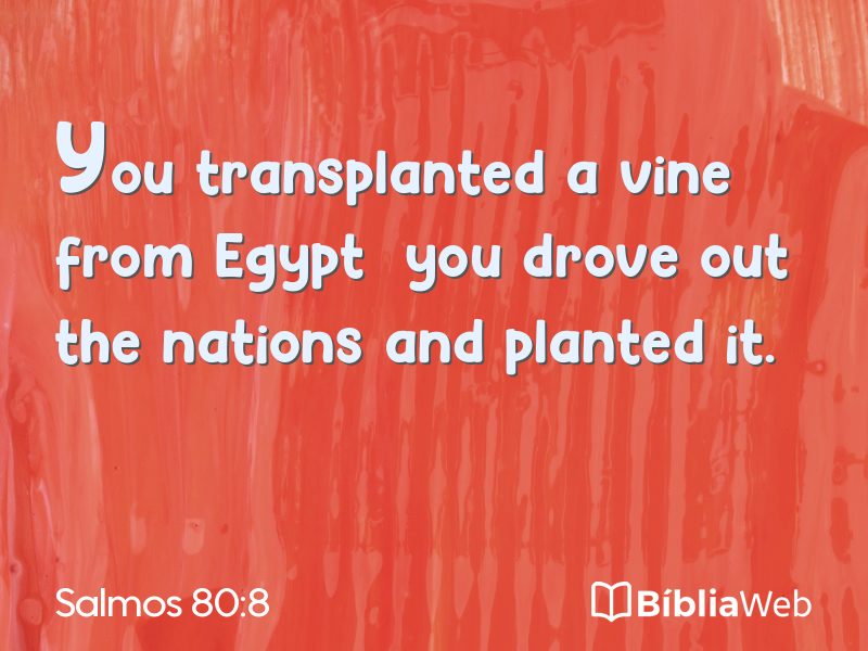 Salmos 80:8 em imagem para compartilhar