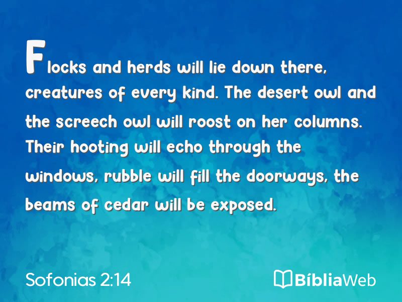 Sofonias 2:14 em imagem para compartilhar