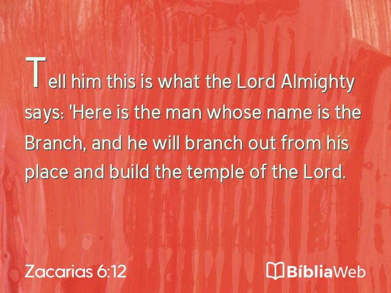 Zacarias 6:12 em imagem para compartilhar