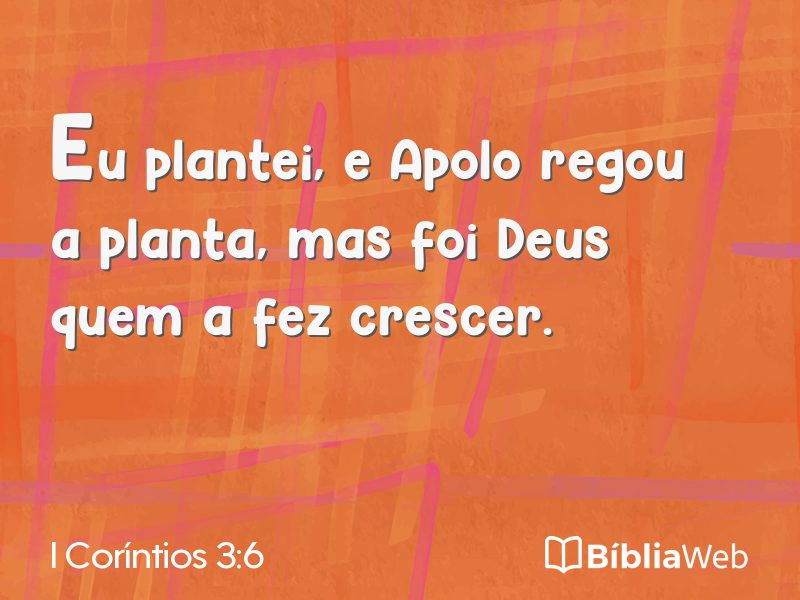 I Coríntios 3:6 em imagem para compartilhar