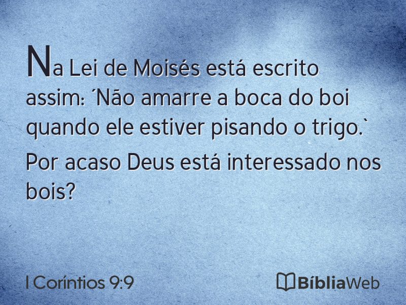 I Coríntios 9:9 em imagem para compartilhar