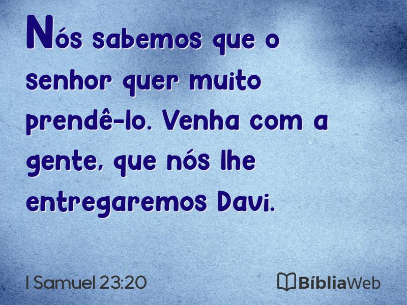 I Samuel 23:20 em imagem para compartilhar