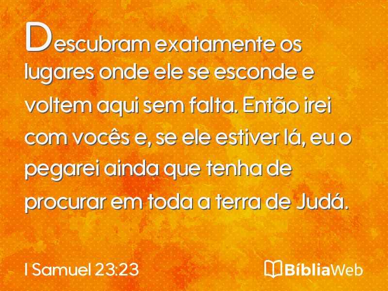 I Samuel 23:23 em imagem para compartilhar
