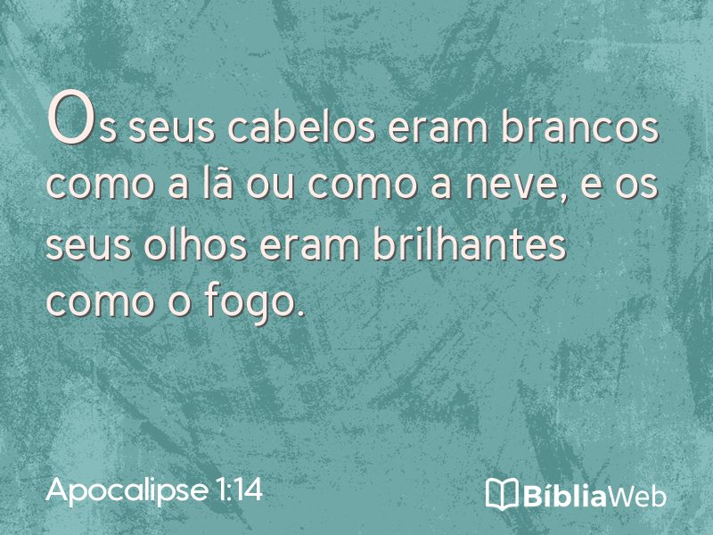 Apocalipse 1:14 em imagem para compartilhar