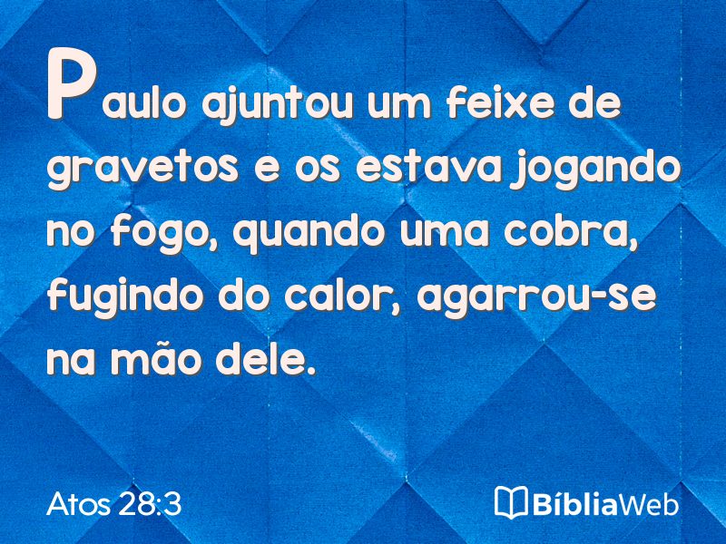 Atos 28:3 em imagem para compartilhar