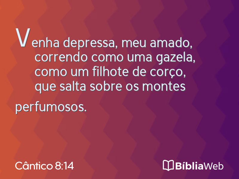Cântico 8:14 em imagem para compartilhar