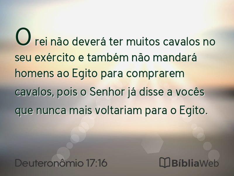 Deuteronômio 17:16 em imagem para compartilhar