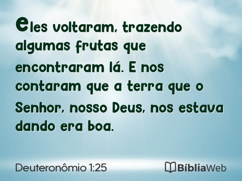 Deuteronômio 1:25 em imagem para compartilhar
