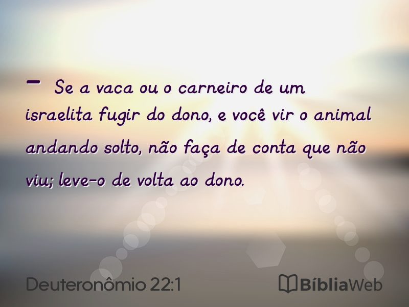 Deuteronômio 22:1 em imagem para compartilhar