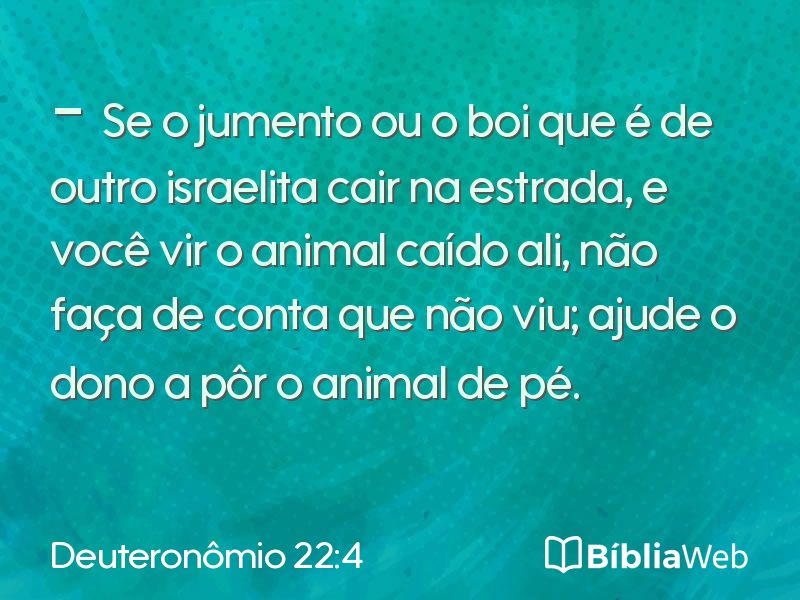 Deuteronômio 22:4 em imagem para compartilhar