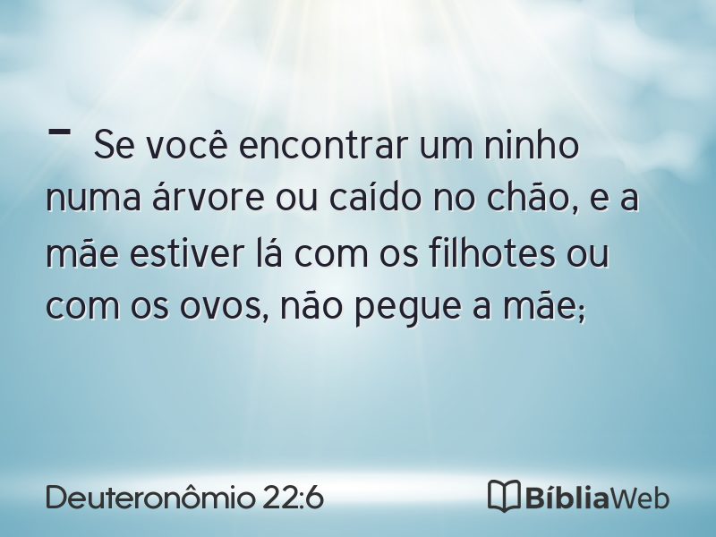 Deuteronômio 22:6 em imagem para compartilhar