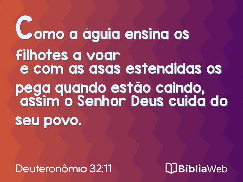 Deuteronômio 32:11 em imagem para compartilhar