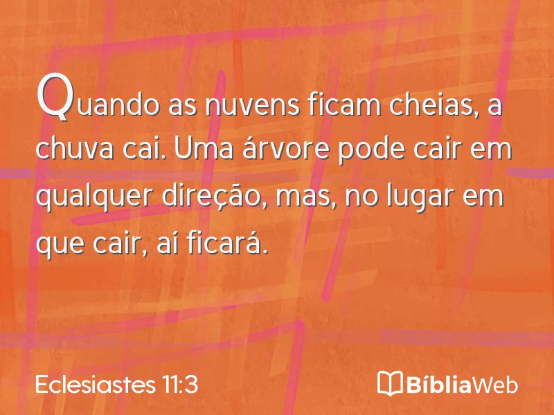 Eclesiastes 11:3 em imagem para compartilhar