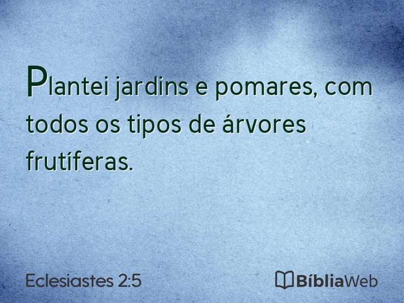 Eclesiastes 2:5 em imagem para compartilhar