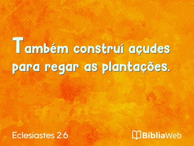 Eclesiastes 2:6 em imagem para compartilhar