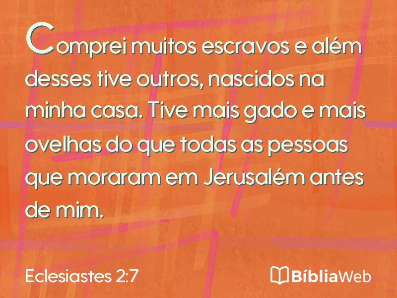 Eclesiastes 2:7 em imagem para compartilhar