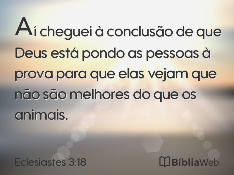 Eclesiastes 3:18 em imagem para compartilhar