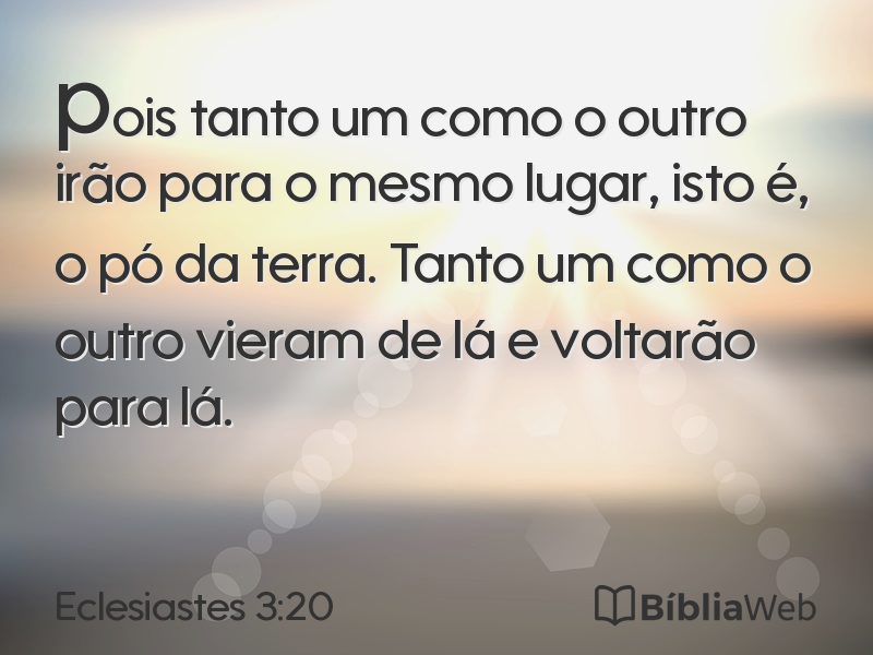 Eclesiastes 3:20 em imagem para compartilhar