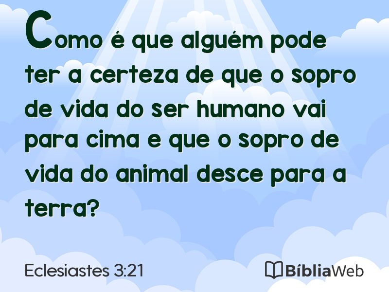 Eclesiastes 3:21 em imagem para compartilhar