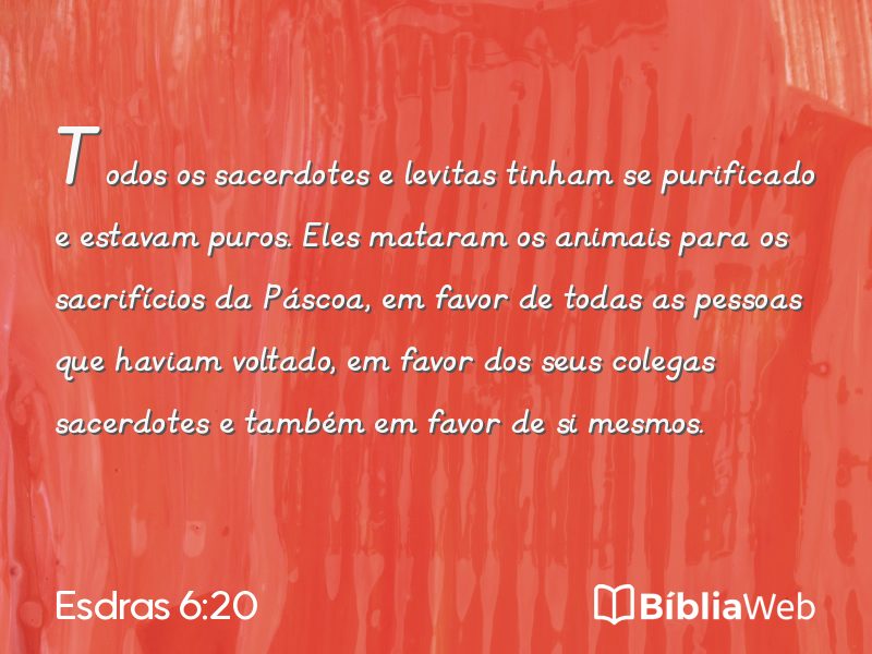 Esdras 6:20 em imagem para compartilhar