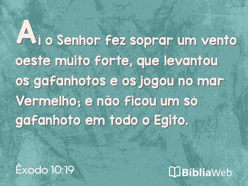 Êxodo 10:19 em imagem para compartilhar