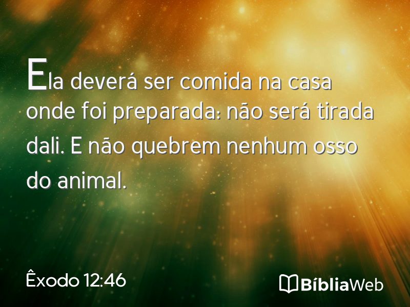 Êxodo 12:46 em imagem para compartilhar