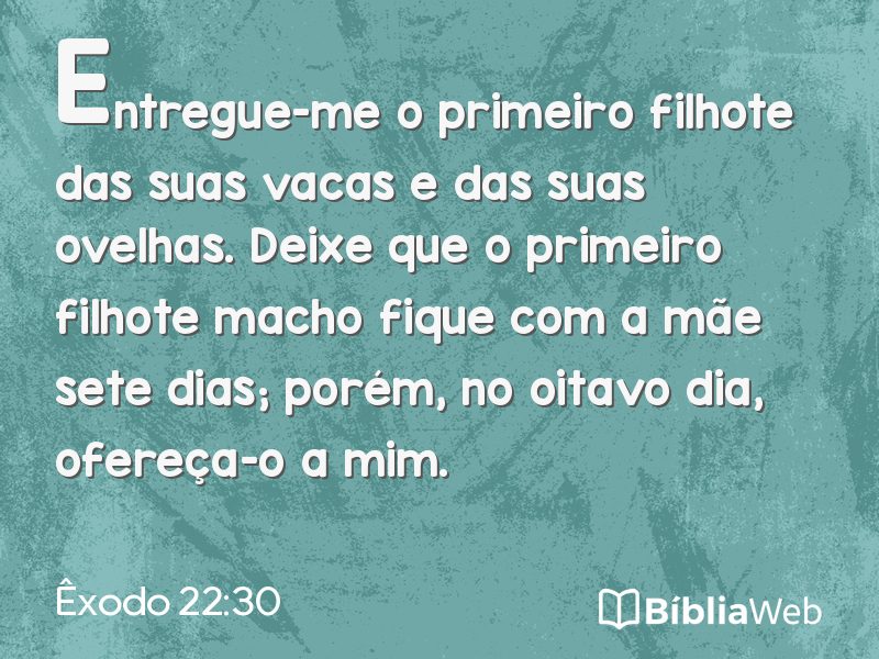 Êxodo 22:30 em imagem para compartilhar