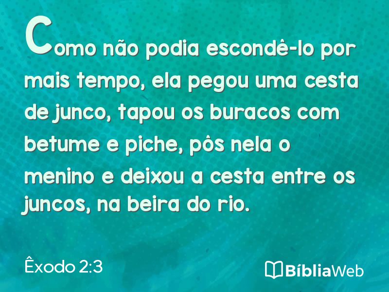 Êxodo 2:3 em imagem para compartilhar