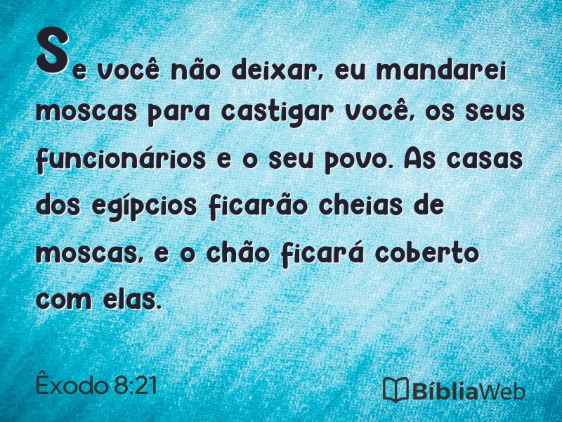 Êxodo 8:21 em imagem para compartilhar