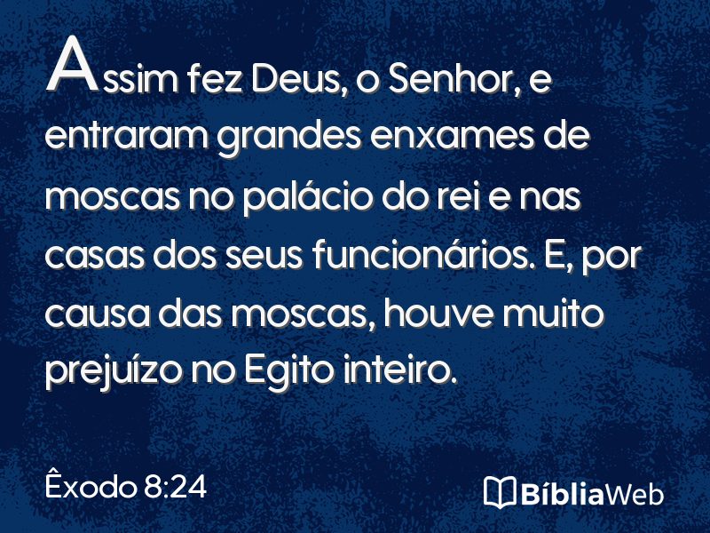 Êxodo 8:24 em imagem para compartilhar