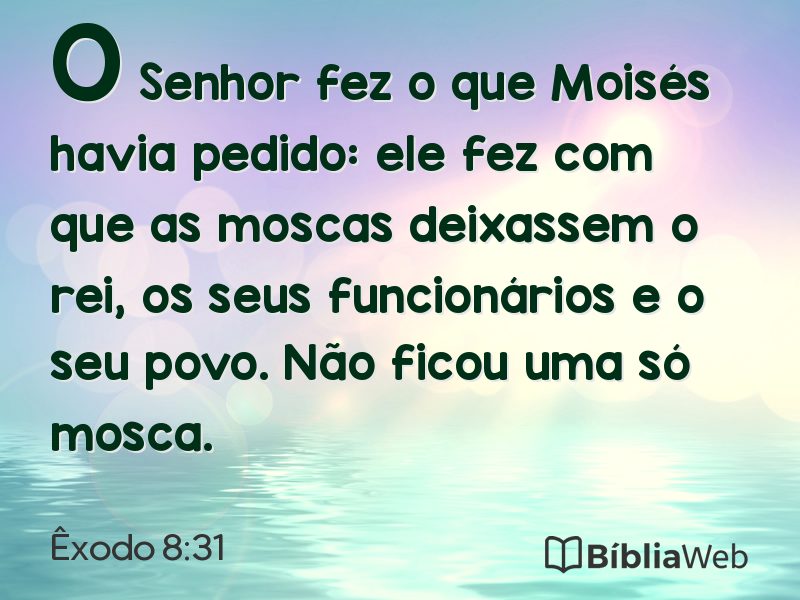 Êxodo 8:31 em imagem para compartilhar