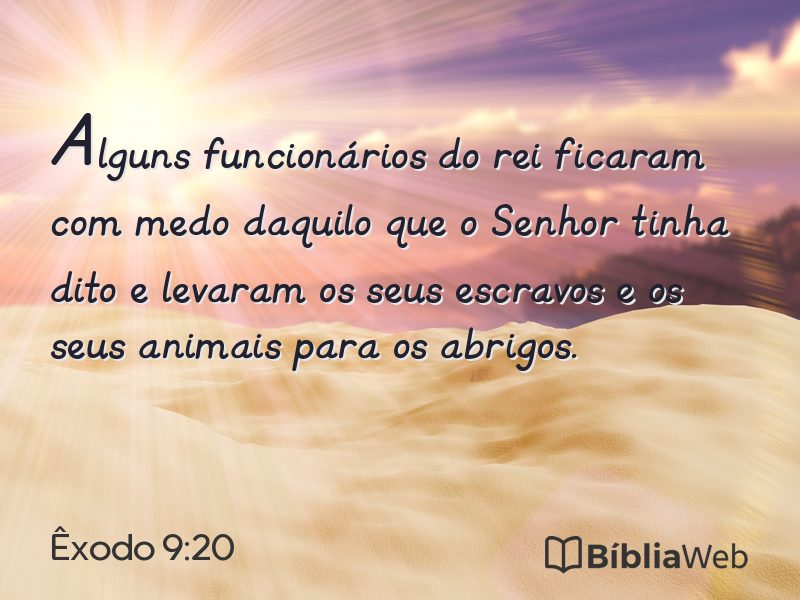 Êxodo 9:20 em imagem para compartilhar