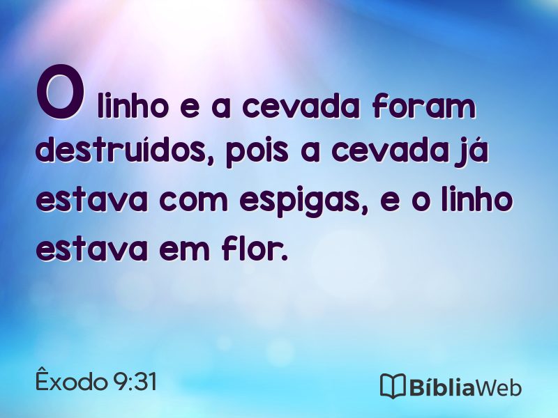 Êxodo 9:31 em imagem para compartilhar