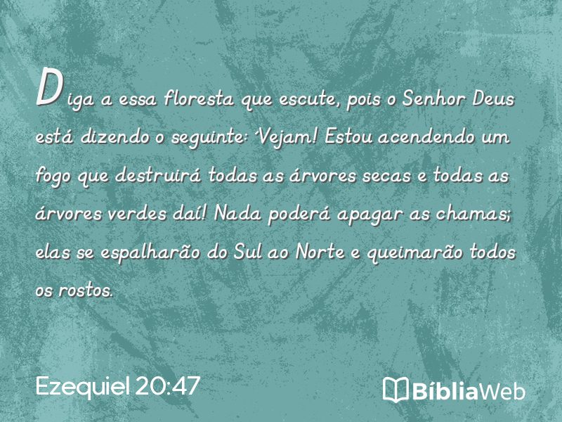 Ezequiel 20:47 em imagem para compartilhar