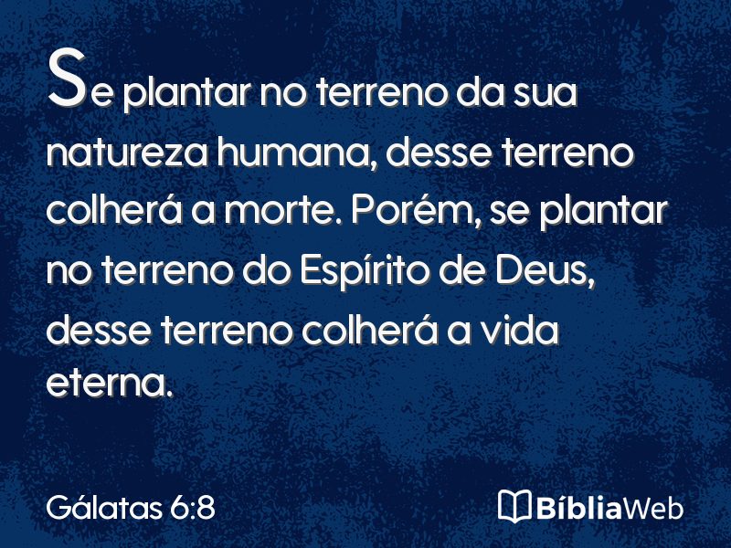 Gálatas 6:8 em imagem para compartilhar