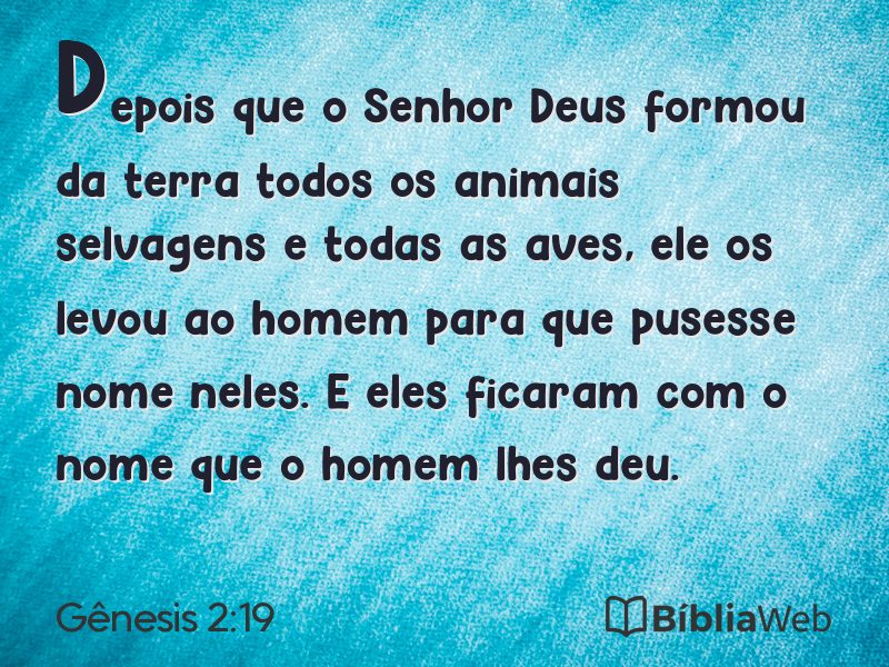 Gênesis 2:19 em imagem para compartilhar
