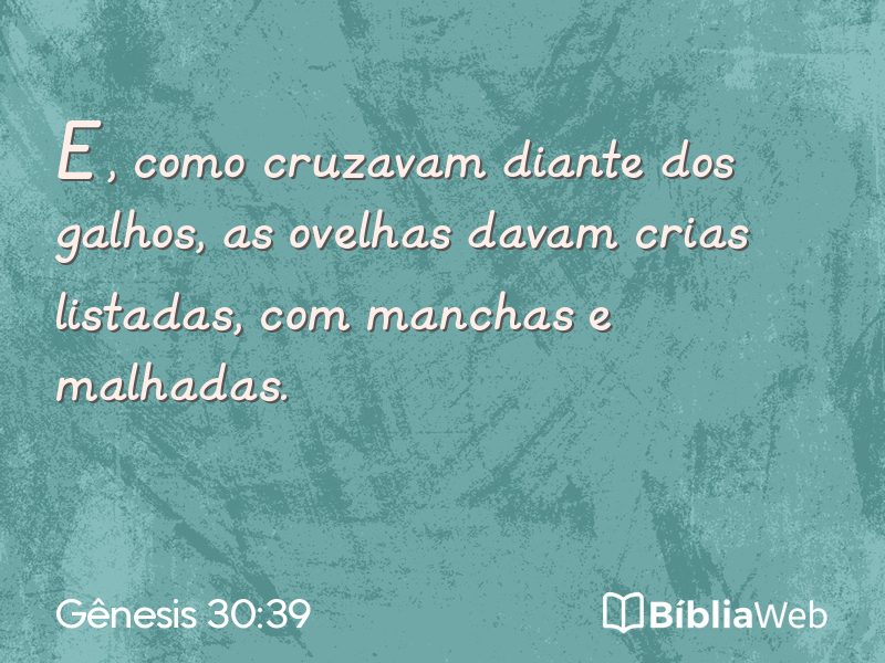 Gênesis 30:39 em imagem para compartilhar