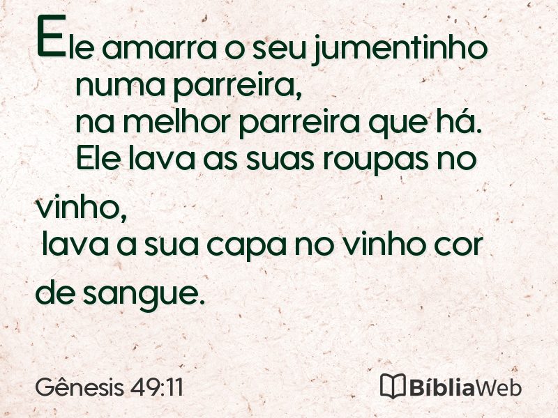 Gênesis 49:11 em imagem para compartilhar