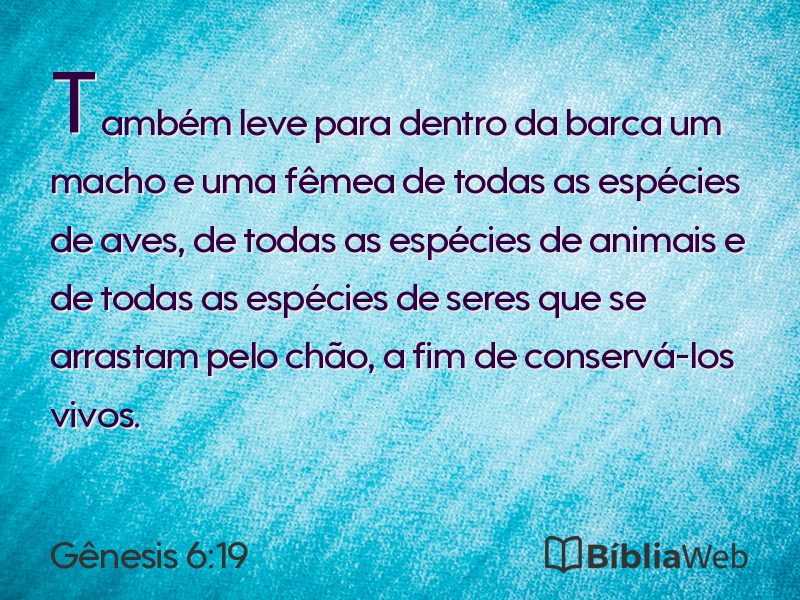 Gênesis 6:19 em imagem para compartilhar