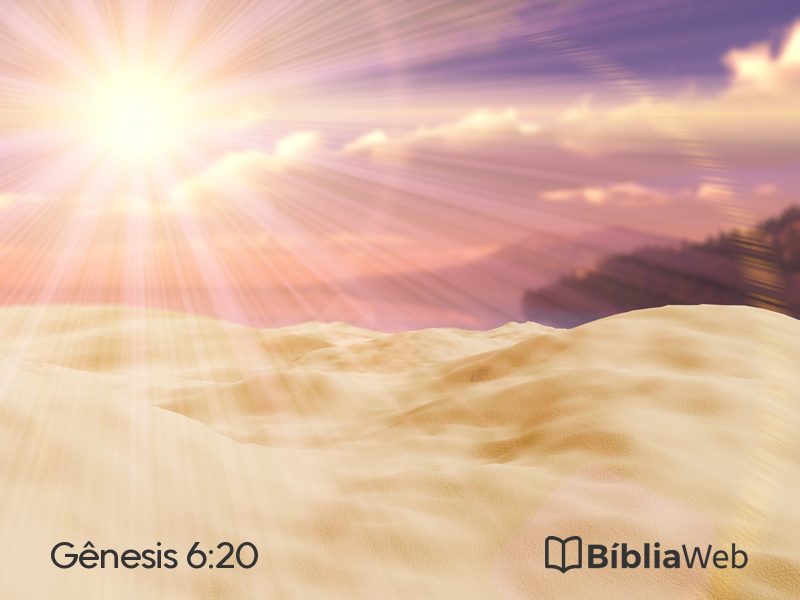 Gênesis 6:20 em imagem para compartilhar