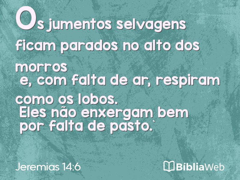 Jeremias 14:6 em imagem para compartilhar