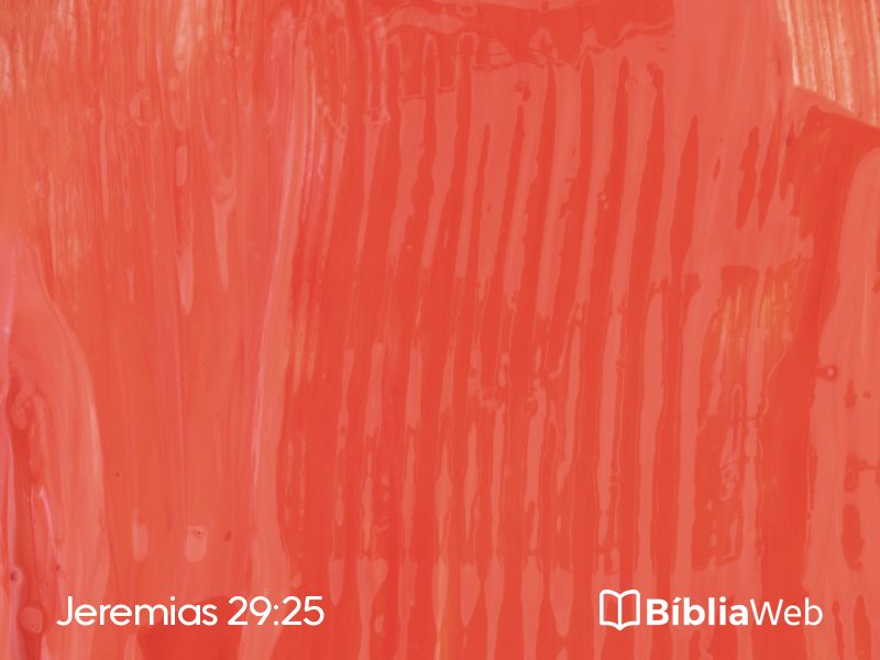 Jeremias 29:25 em imagem para compartilhar