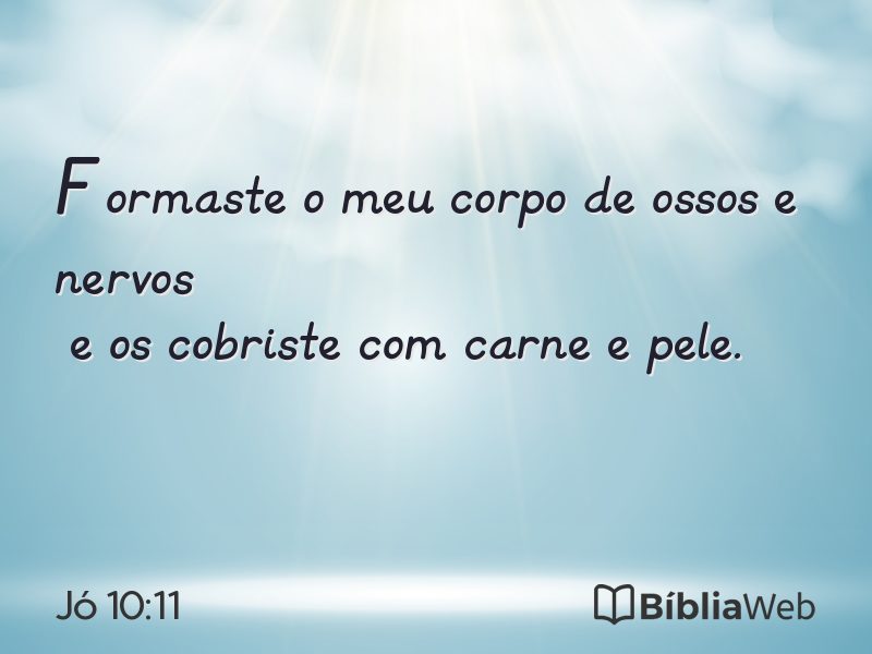 Jó 10:11 em imagem para compartilhar