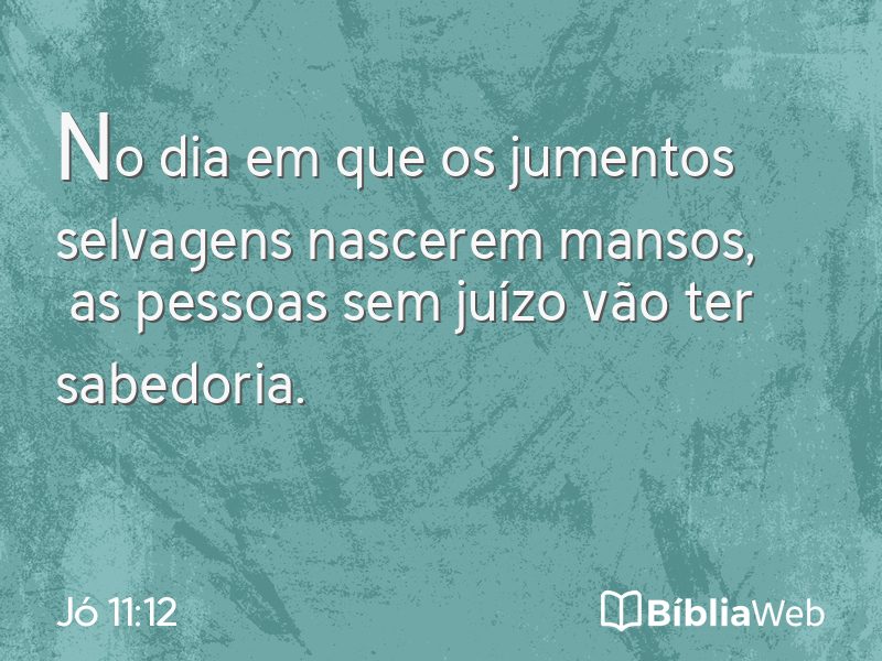 Jó 11:12 em imagem para compartilhar
